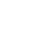 Team leader