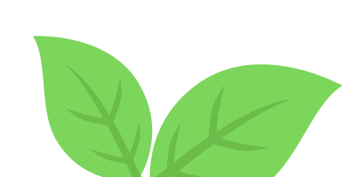leaves decor